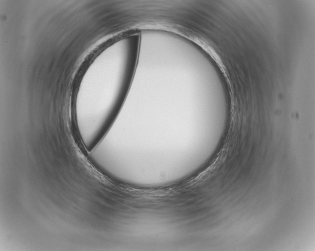 X0000087680984200706011650