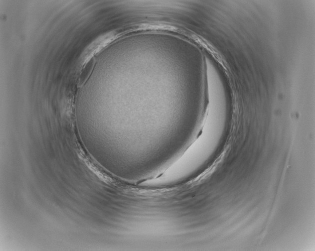 X0000087680985200706011650