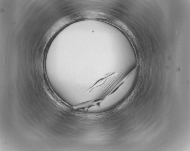 X0000087680986200706011650