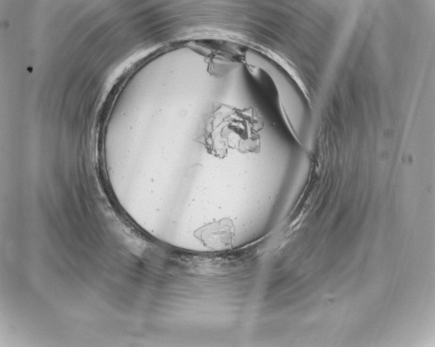 X0000087680987200706011650