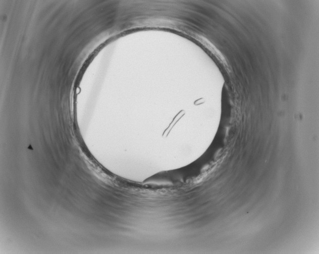 X0000087680988200706011650