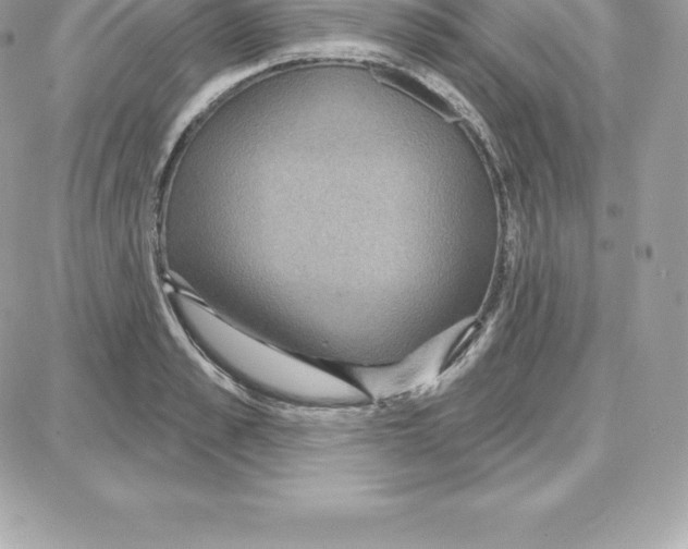 X0000087680989200706011650