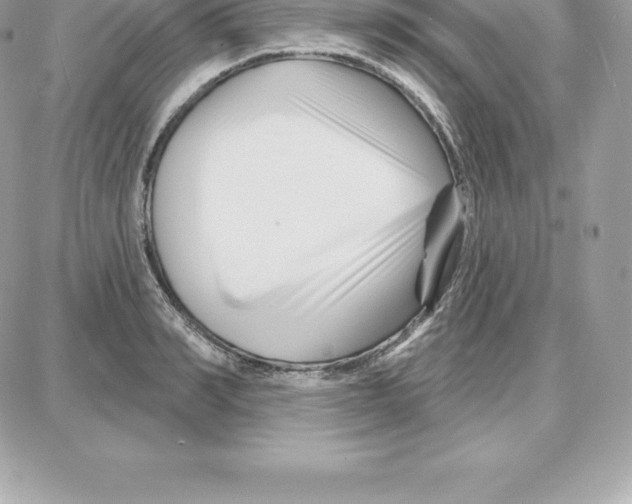 X0000087680990200706011650