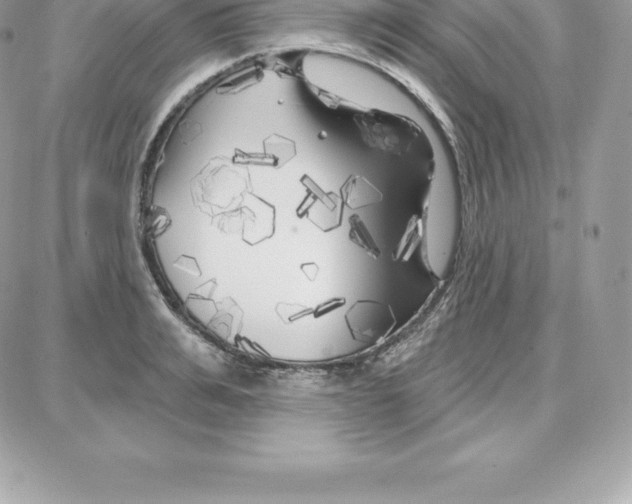 X0000087680991200706011650