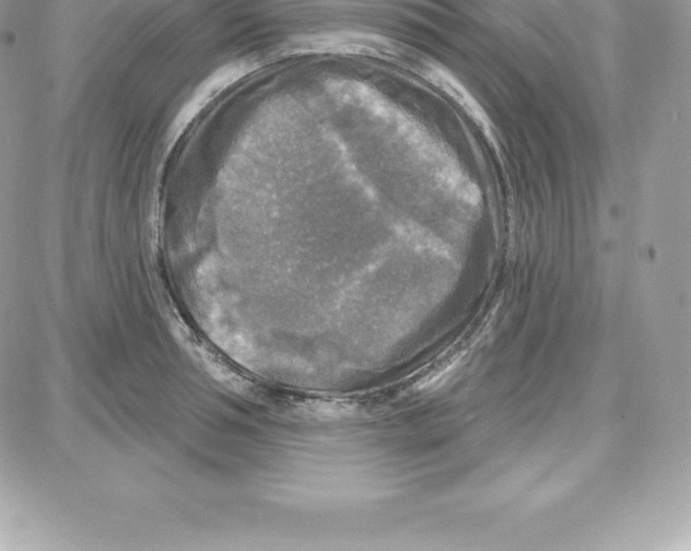 X0000087680994200706011649