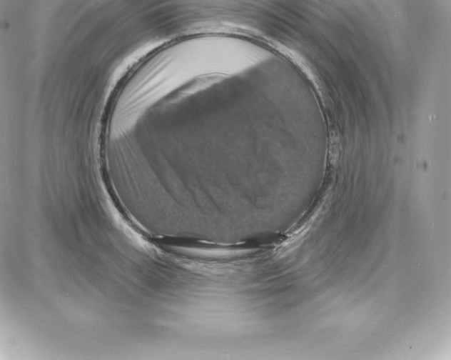 X0000087680995200706011649