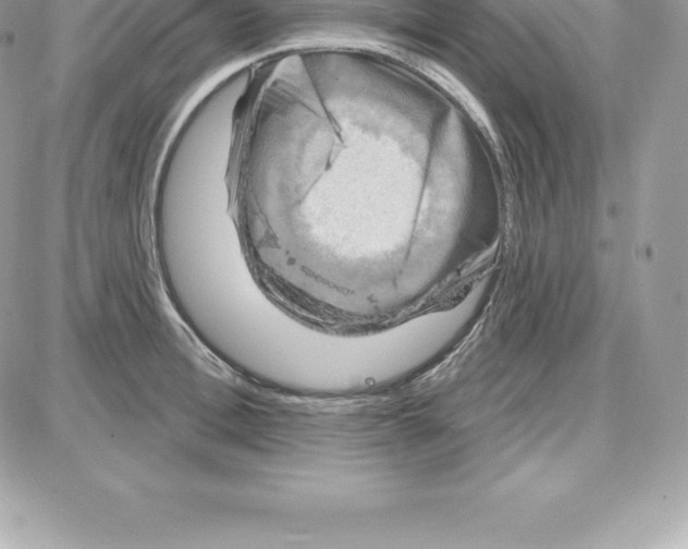 X0000087680996200706011649