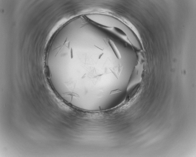 X0000087680997200706011649