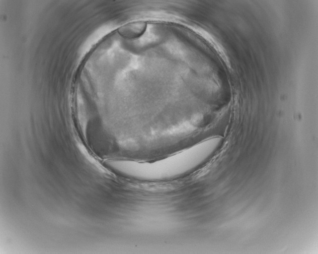 X0000087680998200706011649