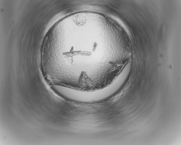 X0000087680999200706011649