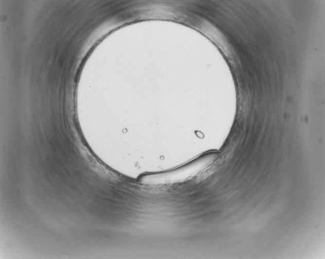 X0000087681000200706011649