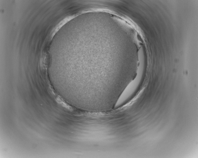 X0000087681001200706011649