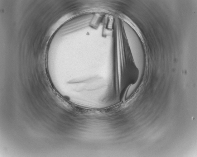 X0000087681002200706011649