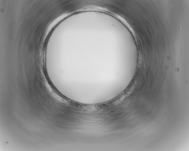 X0000087681003200706011649