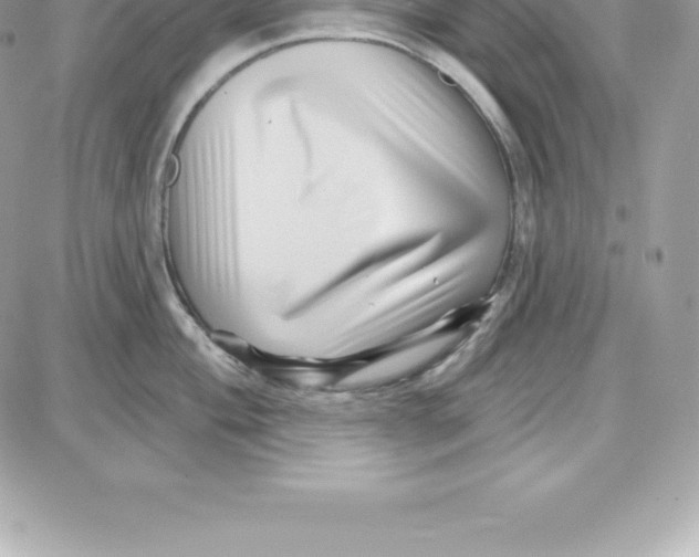 X0000087681004200706011649