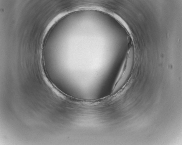 X0000087681005200706011649