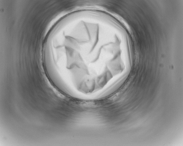 X0000087681006200706011649