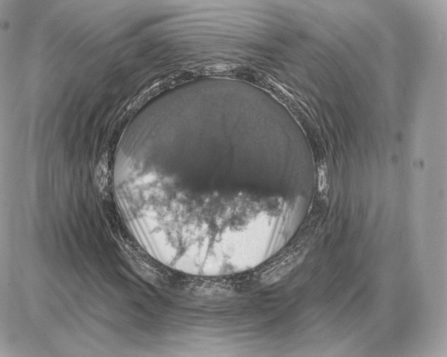 X0000087681011200706011649