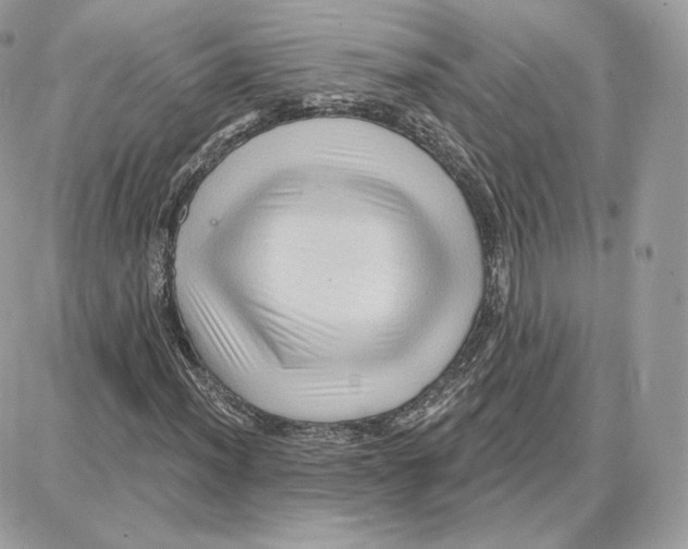 X0000087681012200706011649