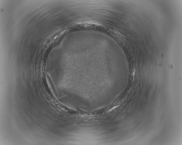 X0000087681014200706011649