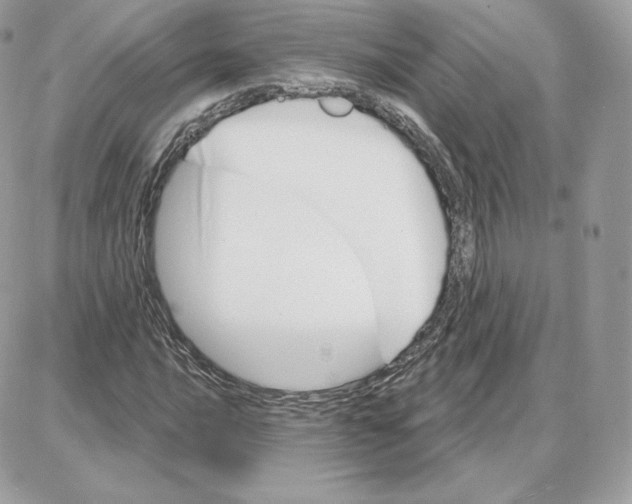 X0000087681016200706011649