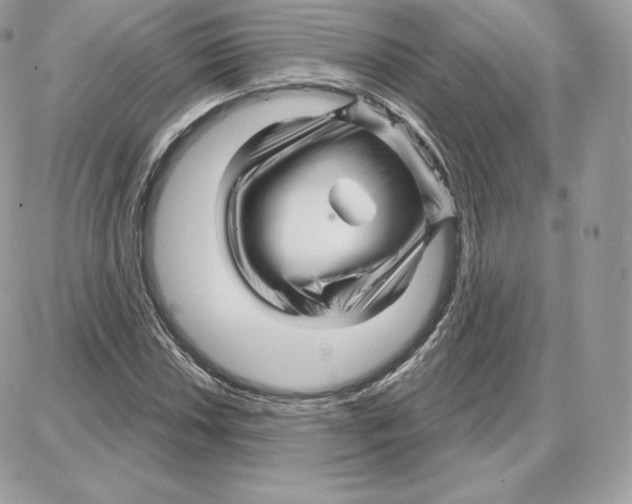 X0000087681018200706011649