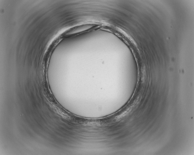 X0000087681021200706011649