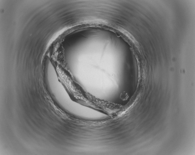 X0000087681022200706011649