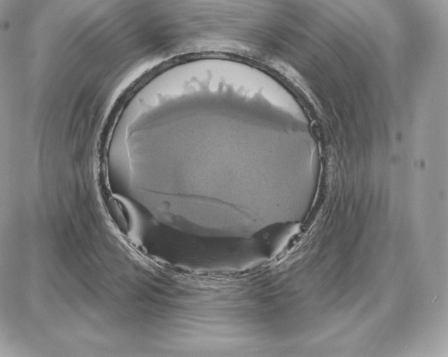 X0000087681024200706011649