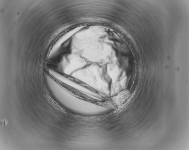 X0000087681025200706011649