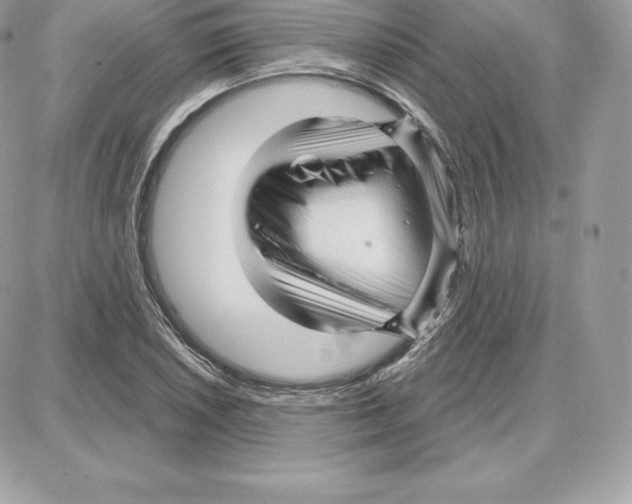 X0000087681026200706011649