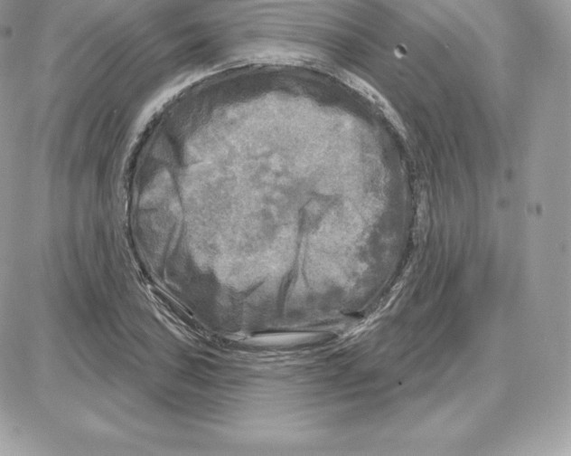 X0000087681027200706011649