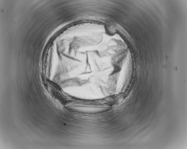 X0000087681028200706011649