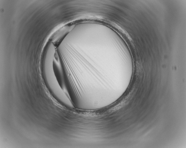 X0000087681029200706011649