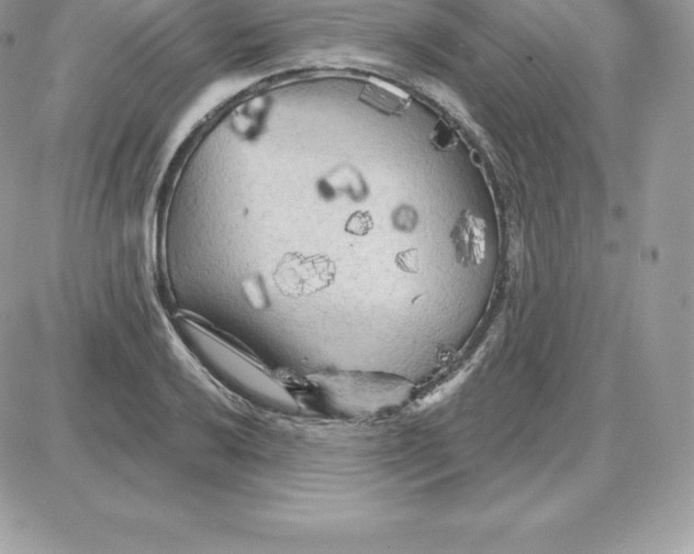 X0000087681032200706011649