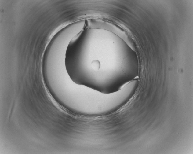 X0000087681034200706011649