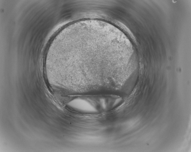 X0000087681035200706011649