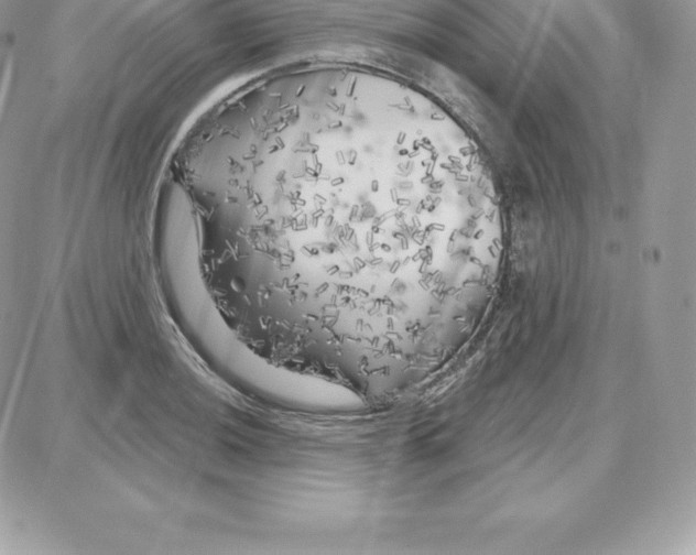 X0000087681036200706011649