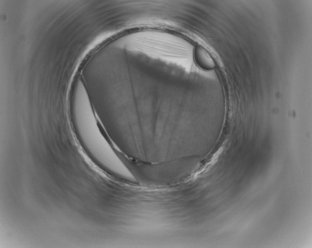 X0000087681037200706011649