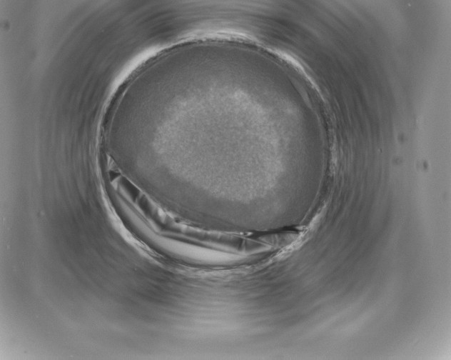 X0000087681038200706011649