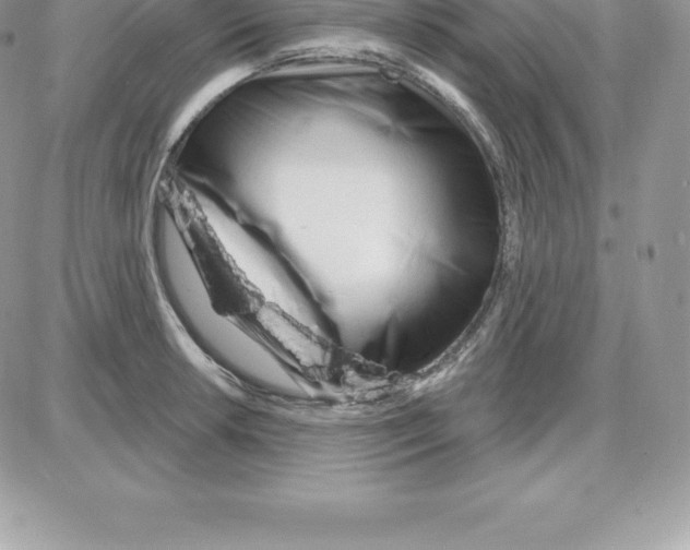 X0000087681042200706011649