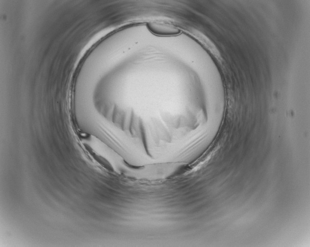 X0000087681044200706011649