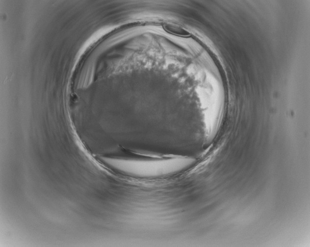 X0000087681045200706011649