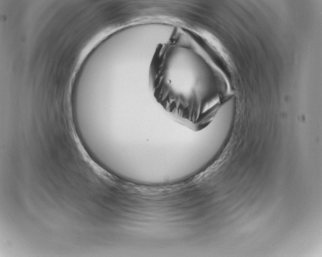 X0000087681046200706011649