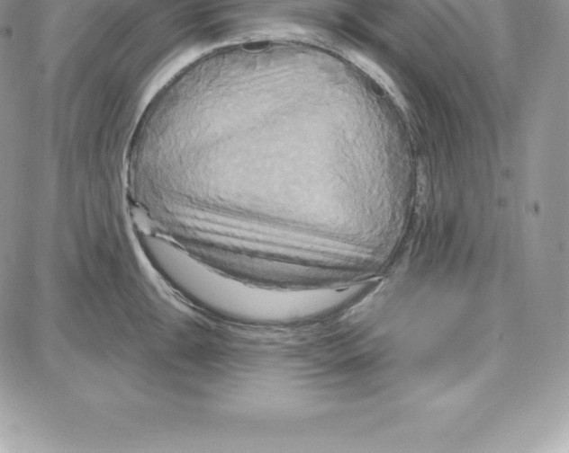 X0000087681047200706011649