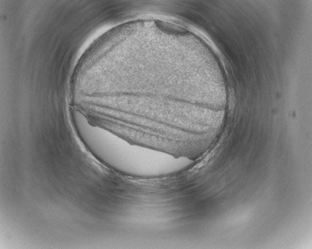 X0000087681048200706011649