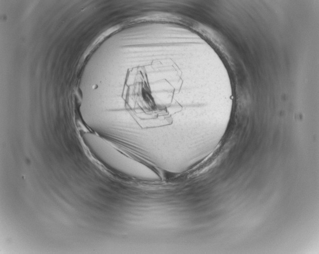 X0000087681049200706011649