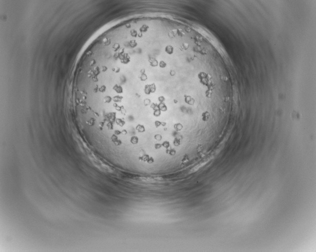 X0000087681052200706011649