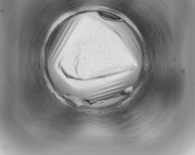 X0000087681053200706011649