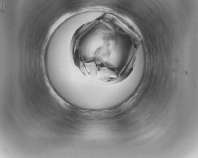 X0000087681054200706011649